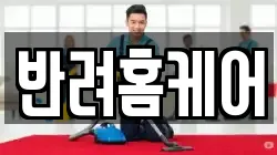 반려홈케어