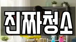 진짜청소