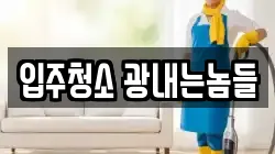 입주청소 광내는놈들
