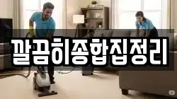 깔끔히종합집정리