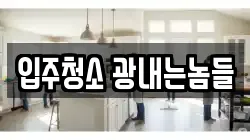 입주청소 광내는놈들