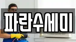 파란수세미