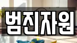 범진자원