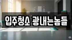 입주청소 광내는놈들