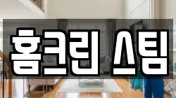 홈크린 스팀