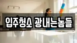 입주청소 광내는놈들