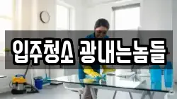입주청소 광내는놈들