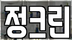 정크린