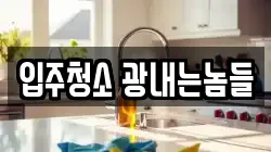 입주청소 광내는놈들