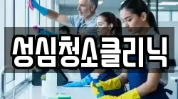 성심청소클리닉