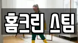 홈크린 스팀