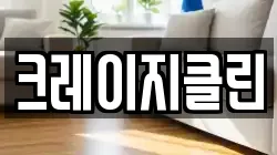 크레이지클린