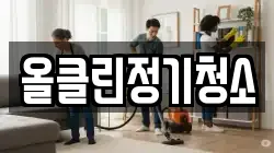 올클린정기청소