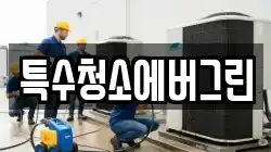 특수청소에버그린