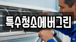 특수청소에버그린