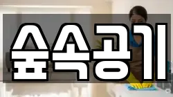 숲속공기