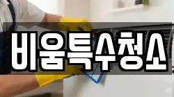 비움특수청소