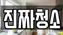 진짜청소