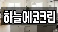 하늘에코크린