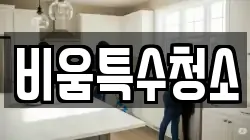 비움특수청소