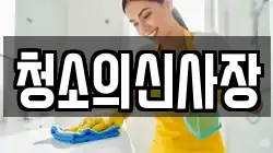 청소의신사장