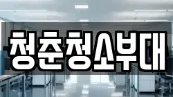 청춘청소부대