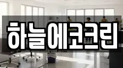하늘에코크린