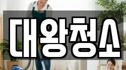 대왕청소