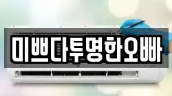 미쁘다투명한오빠