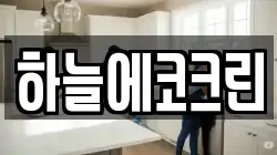 하늘에코크린