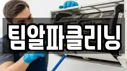팀알파클리닝