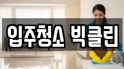 입주청소 빅클린
