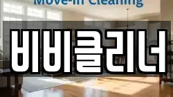 비비클리너