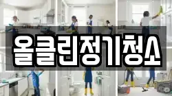 올클린정기청소