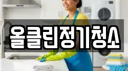 올클린정기청소