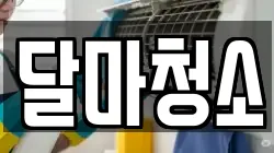 달마청소