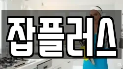 잡플러스