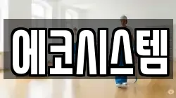 에코시스템