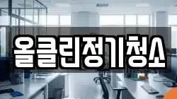 올클린정기청소