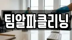 팀알파클리닝