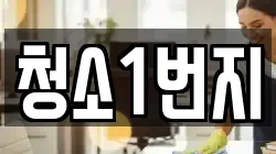 청소1번지