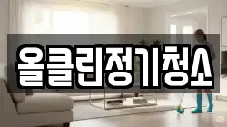 올클린정기청소