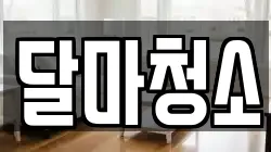 달마청소