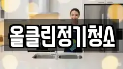 올클린정기청소