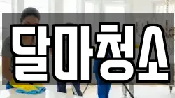 달마청소