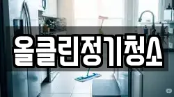 올클린정기청소