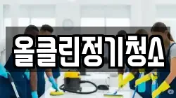 올클린정기청소