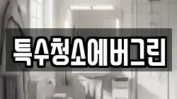 특수청소에버그린