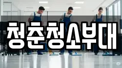 청춘청소부대