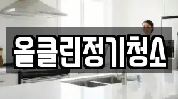 올클린정기청소